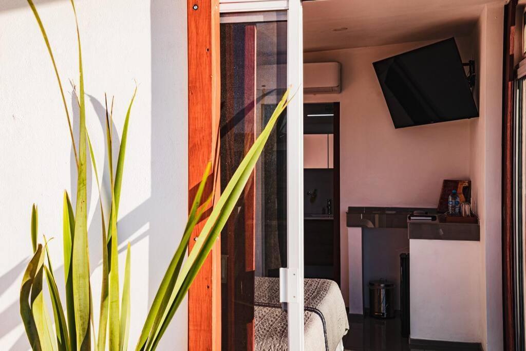 Cabana El Alamo Con Jacuzzi Villa Valle de Guadalupe Exterior foto
